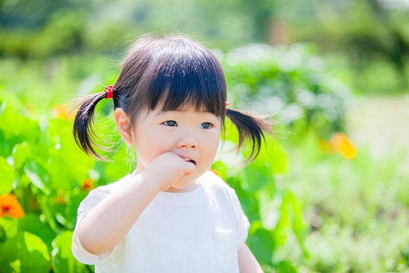 歯並びが悪くなる