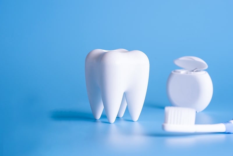 治癒期間（骨結合の獲得）