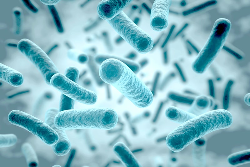 歯周病の原因とは？